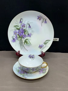 J & C Dayton "VIOLETS" Limoges France ~ Cups & Saucer, Dessert Plate - Picture 1 of 9
