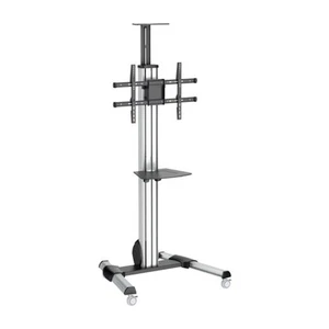 StarTech TV Cart - Height Adjustable - Lockable Wheels - Afbeelding 1 van 7