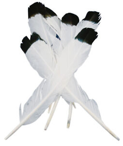 Midwest Design-Simulated Eagle Feathers 4/Pkg-White W/Black Tip
