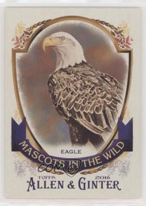 2016 Topps Allen & Ginter's Mascots In The Wild Eagle #MIW-3