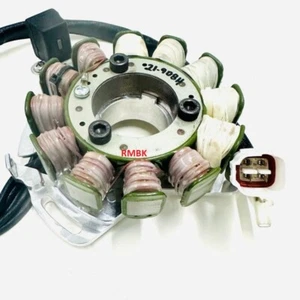 Ricks Electric High Output Stator Yamaha YFZ350 Banshee 4x2 1995-2006 - Picture 1 of 3