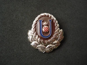 NDH, insignia de Ustasa, Segunda Guerra Mundial, militar, ejército, Croacia, Alemania - Imagen 1 de 2