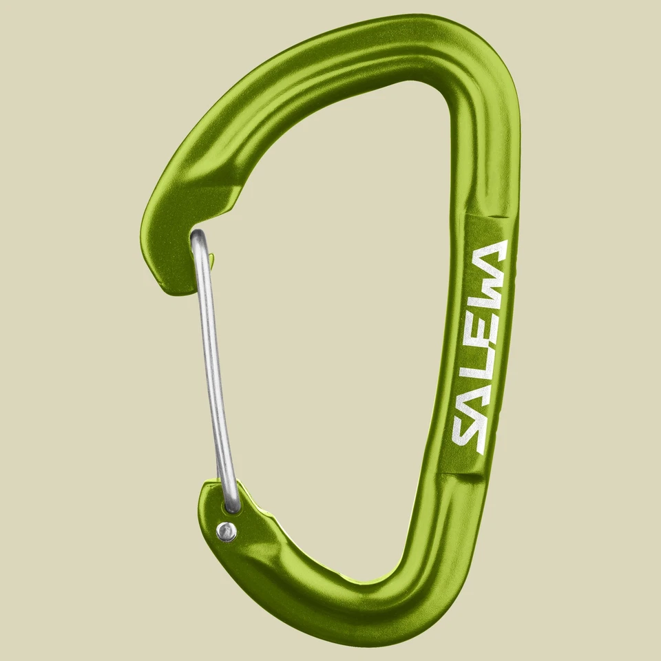 Salewa Hot G3 Wire Größe 100x64 mm Farbe fluo green Schnapp-Karabiner