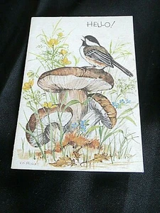 Vintage Unused Fravessi Hello Card #2207 - Picture 1 of 5