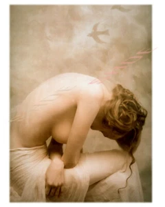 Arte Semi Desnudo Femenino (con Pájaro) 8x10 W/ Bordes En Baryta Fine Art Photo Paper - Imagen 1 de 1
