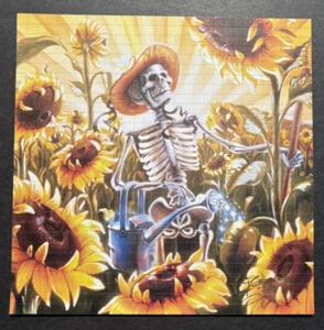 “Skeleton & Sunflower” 🌻 Blotter By Richard Biffle Featuring Grateful Dead Art - Picture 1 of 6