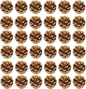 Pigne Decorative Natalizie, 36 Pezzi Pigne Piccole Decorative, Addobbi Natalizi - Foto 1 di 12
