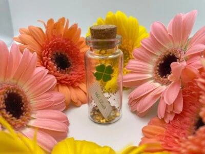 Mini Flaschenpost "Glücksbringer" - Geschenkidee -  Sie und Ihn - Bild 1 von 4