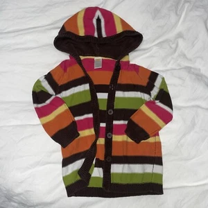 Excellent Used Condition Gymboree Fall Stripe Hoodie Sweater 4T XS - Picture 1 of 3