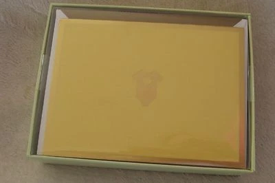 C.R. Tarjetas de notas Gibson Icon en caja iconos dorados para bebés 16 surtidos nuevas  Foto 1 de 4