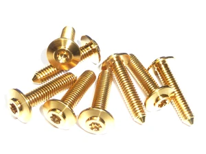 TITANIUM FAIRING SCREW BOLT M6X27 RACE SPEC BOLT FLANGED HEAD T25 TORX GOLD - Foto 1 di 5