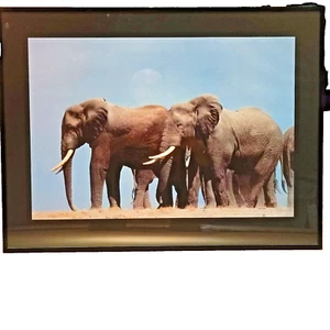 Wandbild gerahmt  - Bild 1 von 1