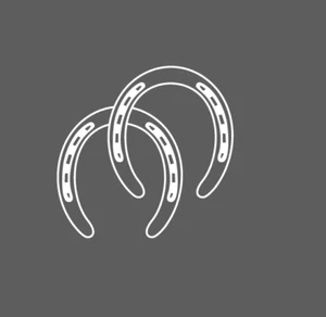 HORSESHOES Horse Shoes Vinyl Decal Sticker for Farmer Rancher Cowboy Ranch Car - Bild 1 von 8