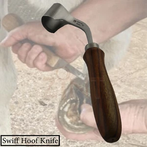 Herramienta Hoof Farrier recortadora de bucle de cuidado de caballos mediana raspado pezuña - Imagen 1 de 6