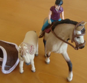 Schleich Reiterin und Pony, Zubehör, ausgezeicheter Zustand, siehe Bilder - Bild 1 von 6