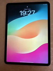 iPad Pro 11 Inc (2rd Generation) WiFi+ Cellular 256gb - Picture 1 of 12