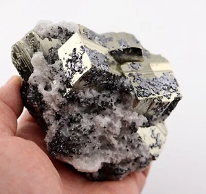 A fine Pyrite with quartz and epitaxial galena crystals. Huanzala mine, Peru - Picture 1 of 10