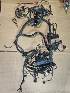 BMW S1000RR 2010-2014 2013 FABRICANTE DE EQUIPOS ORIGINALES ARNÉS DE CABLEADO MOTOR TELAR DE CABLE - Imagen 1 de 11