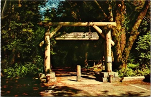 Mill Valley CA California Muir Woods National Monument Entrance Vintage Postcard - Picture 1 of 2