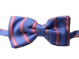 Nœud Papillon Homme Rayé Bow Noeu Bleu Céleste Riga Rose - Picture 1 of 2