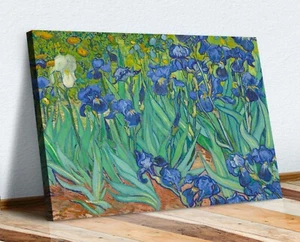 Van gogh Irises CANVAS WALL ART PAINTING ARTWORK 30mm DEEP FRAMED PRINT - Imagen 1 de 4