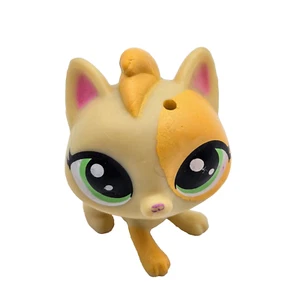 Littlest Pet Shop Falala Fluffball Cat Surprise Families LPS Toy 2016 Read - Picture 1 of 7