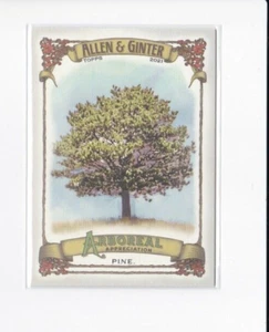 PINE 2021 ALLEN & GINTER ARBOREAL APPRECIATION INSERT CARD-SHIPS FREE - Picture 1 of 21