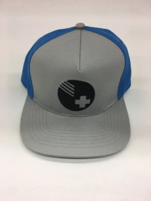 Gorra Pink Dolphin 100% Auténtica Gris Azul Logo Raro Snapback Foto 1 de 4