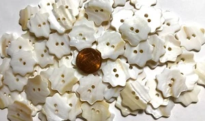 6 PC ONLY White Iridescent River Shell Star Shaped Buttons 22.5mm 7/8" 12199 - Picture 1 of 5