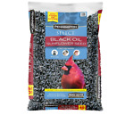 Pennington Select Black Oil Sunflower Seed Wild Bird Feed 10, 20 & 40 Lb Bag USA