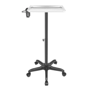 YIYIBYUS 1-Tier Metal Height Adjustable 5-Wheeled Salon Tray in Silver - Picture 1 of 11