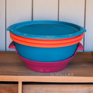 TUPPERWARE I101 MICRO-GOURMET CUISEUR VAPEUR MICRO-ONDES MULTICOLORE - Photo 1/2