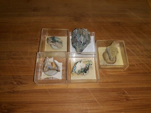 Micromount kleine Sammlung Deutschland Pfalz  5 Stück   - Bild 1 von 7