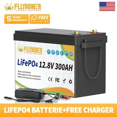 Batería de litio de ciclo profundo 12V 300Ah LiFePO4 200A BMS para RV barco solar Foto 1 de 4