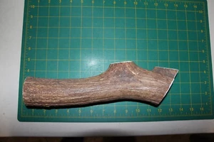 Extra Long Jumbo Elk Antler #6 dog chew / chews deer chew XL XXL 112 - Picture 1 of 4