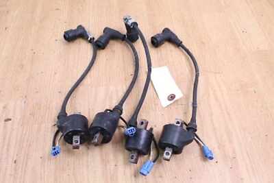 Conjunto de bobinas de ignição 2007 ARCTIC CAT M1000 SNOPRO - Imagem 1 de 4