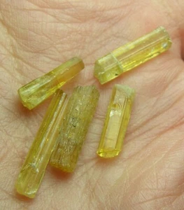 9.60ct Pakistan 5 Pcs Beryl Heliodor Crystals 1.90g 12mm to 19mm - Picture 1 of 3