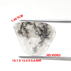 Slice Natural Diamond 1.46TCW Gray Sparkling Irregular Flat Cut for Necklace