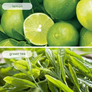 Zitrone Grün Tee Beutel 22 Count Duftende Tee Freizeitgetränke Für Den KU - Bild 1 von 11