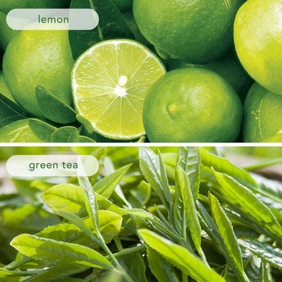 Zitrone Grün Tee Beutel 22 Count Duftende Tee Freizeitgetränke Für Den KU - Bild 1 von 4