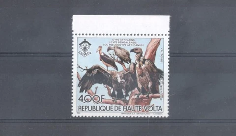 (887674) Birds, Scouting, Haute-Volta Cover