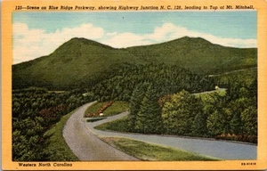Scena su Blue Ridge Parkway che mostra svincolo autostradale N C 128 che porta in cima... - Foto 1 di 4
