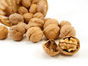 ENGLISH  WALNUTS   IN  SHELL  4 lbs  *CRACK IT *  FEED IT *  EAT  IT * - Picture 1 of 1