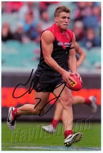 Signed Melbourne Demons AFL 28 x 18cm Photo - Jack Viney - Proof COA - Picture 1 of 3