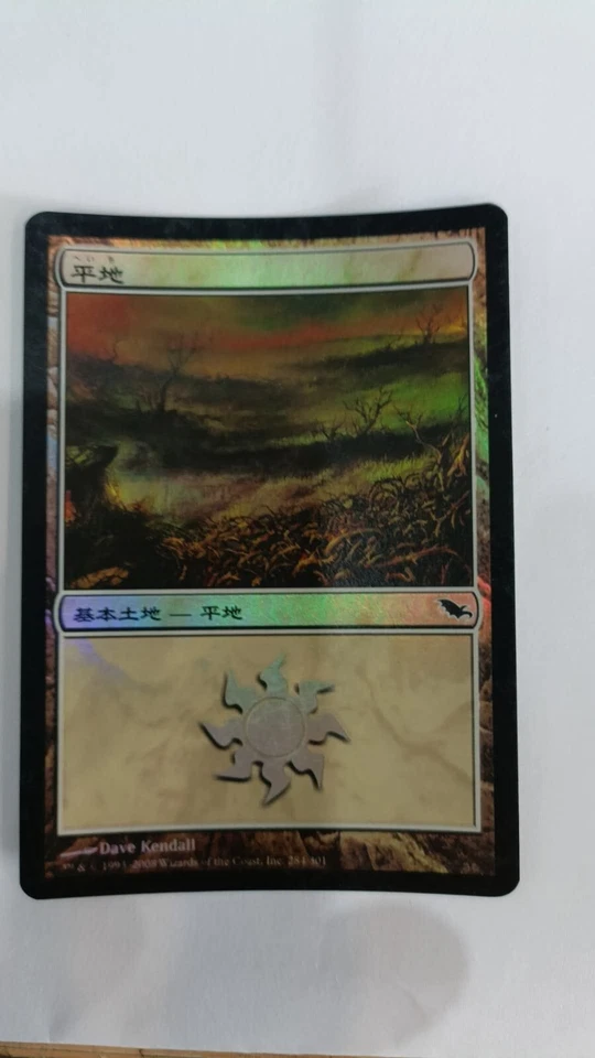 Plains (284) FOIL Shadowmoor LP Basic Land MTG CHINESE - Image 1 of 1
