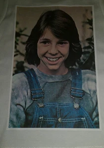 Vintage Rare "KRISTY McNICHOL" Bügelbild Transfer FULL COLOR Teen Idol - Bild 1 von 1