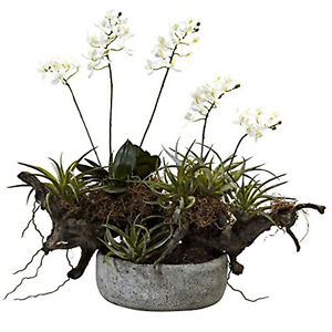 Nearly Natural Orchid & Succulent Garden with Driftwood & Decorative Vase