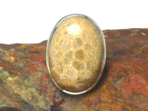 Fossilised CORAL Sterling Silver 925 Gemstone RING - Size : M - Picture 1 of 4