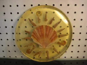 Beach Theme Cast Resin Hot Plate Trivet with Embedded Shells - Picture 1 of 5