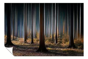 Illuminating Tree Trunks Dark Mysterious Forest Poster Wall Art Home Decor - Picture 1 of 4